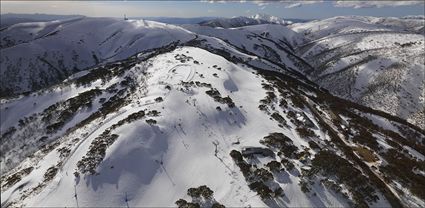 Mt Hotham - VIC T (PBH4 00 9561)